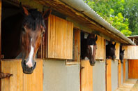free Storrington stable construction quotes
